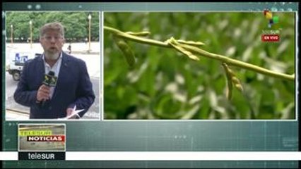 Argentina: pequeños agricultores apoyan reforma tributaria