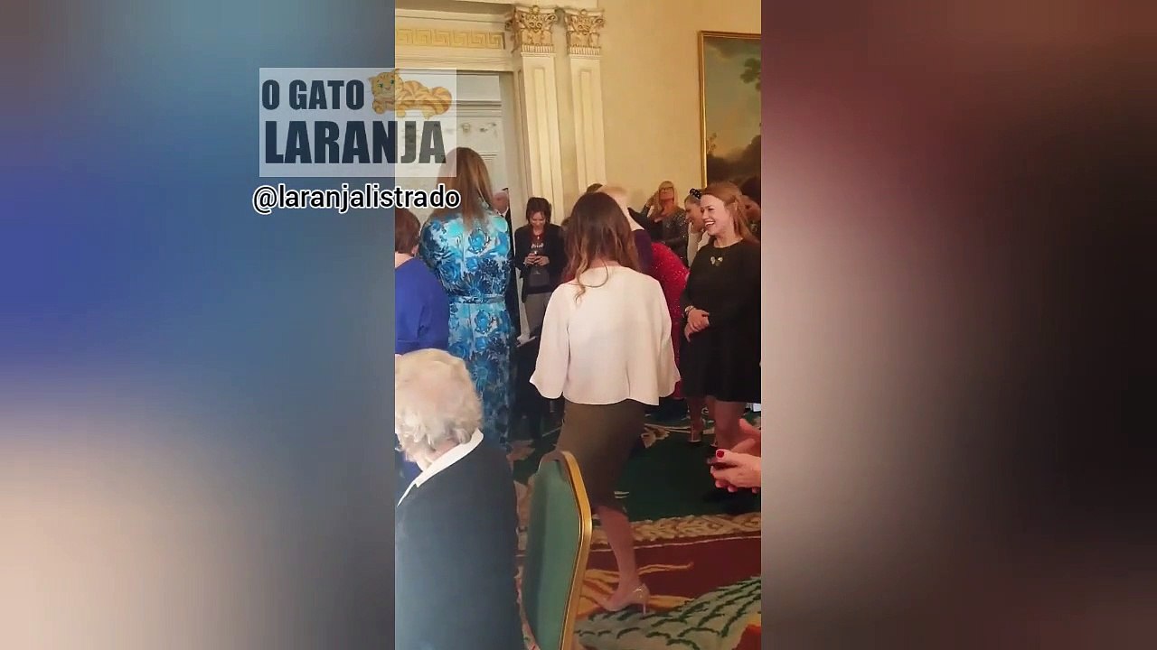 Cão de presidente irlandês invade evento oficial à procura do dono