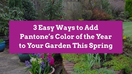 3 Easy Ways to Add Pantone’s Color of the Year to Your Garden This Spring