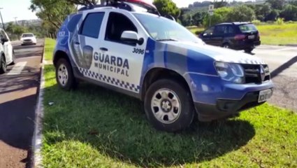 GM apreende adolescentes que teriam furtado pato no Lago Municipal