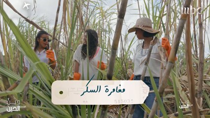 فتيات "وين الحين" يستكشفن عالم زراعة قصب السكّر