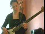 Shake a Tail Feather bass cover