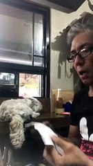 Doggo Doesn't Like When His Owner Sneezes