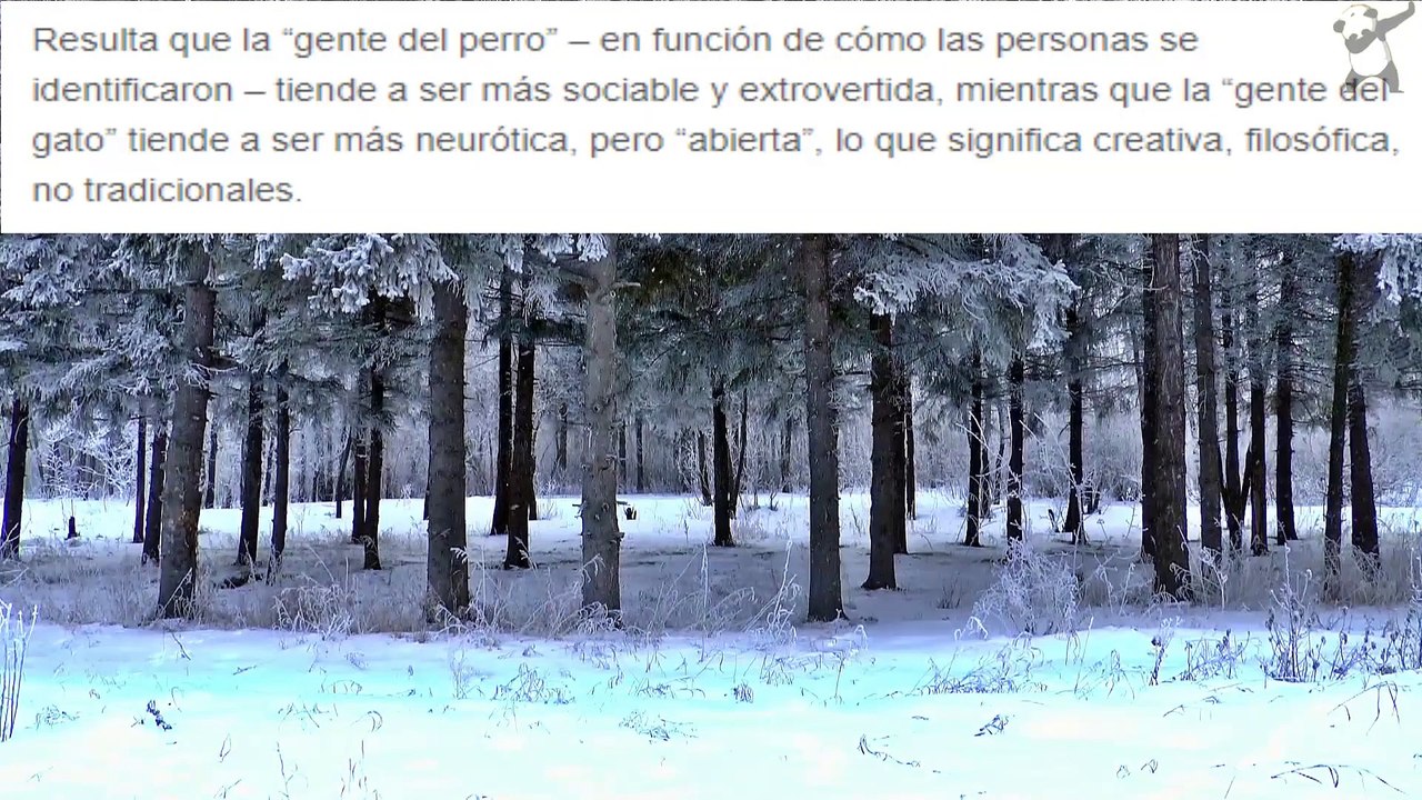 diferencias entre dueños de perros y gatos
