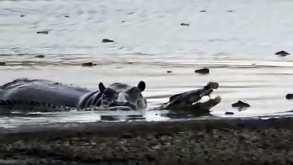 양천출장서비스 양천출장서비스O1OE2908E6803｛카톡MBM6｝ 양천출장마사지샵 양천출장안마on양천출장안마cos여3♪⇔∃마사지황형♥⊄≪