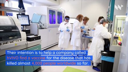 Volunteers in London Offered $4,588 to Be Infected With Coronavirus