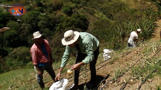 mqn-Ponga a Juank a Bretear- Cebollero-100320