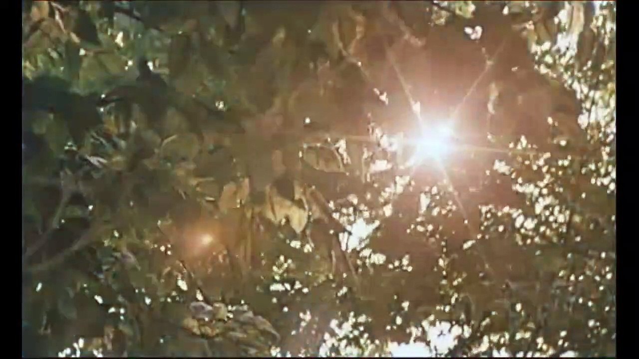 Virgin Suicides (2000) - Bande annonce