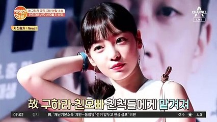 故 구하라 유족, 재산 분할 소송