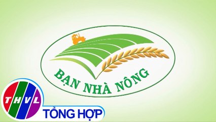 Bạn nhà nông - Kỳ 189: Bảo vệ vườn cây ăn trái qua mùa hạn mặn