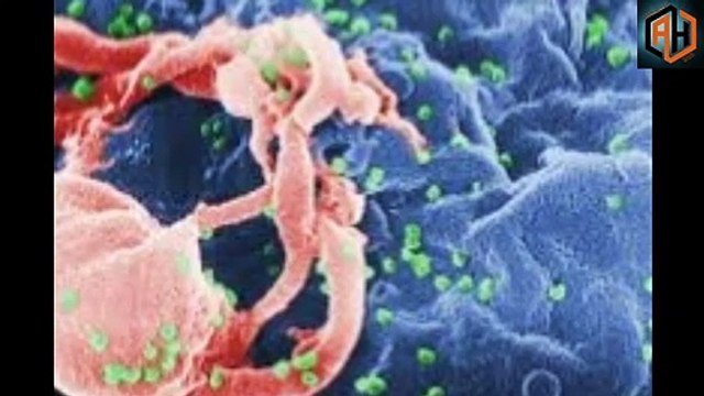 Coronavirus In Rajasthan come II What Is The Coronavirus II Coronavirus Update II Coronavirus China