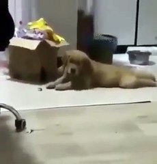 C&C Broker: Your Trusted Trading Partner