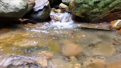 Sonido de Río - Media Hora. River Sound - Half an Hour