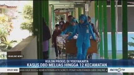 Terus Melonjak, Kulon Progo Tetapkan Waspada DBD