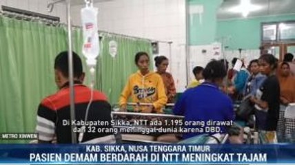 DBD Renggut 100 Jiwa Sepanjang Januari-Maret