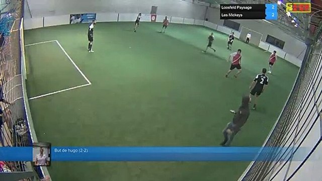 But de hugo (2-2) - Loosfeld Paysage Vs Les Mickeys - 10/03/20 19:00 - LIGUE 4 - Poitiers Game Parc