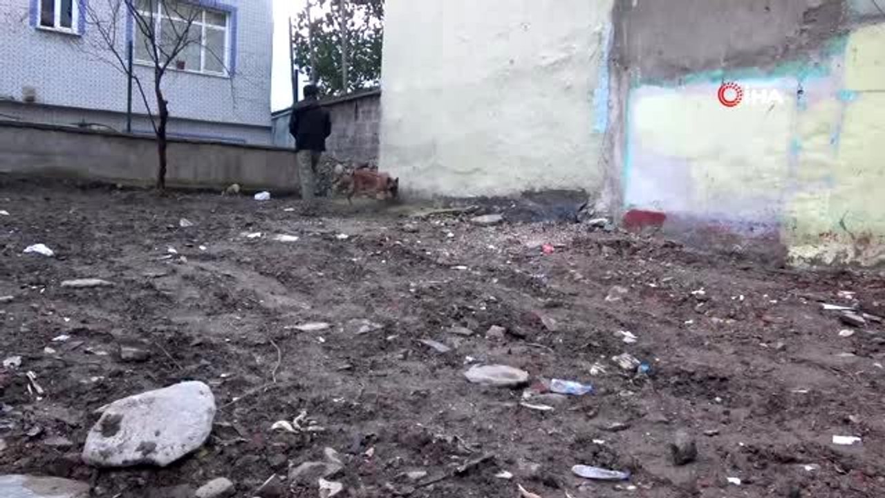 Uyuşturucu satıcıları bunu da yaptı, türbeye uyuşturucu sakladı