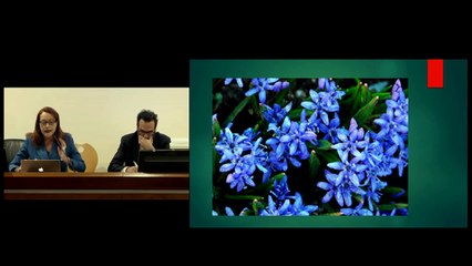 Conférences : « Les dieux et les hommes »