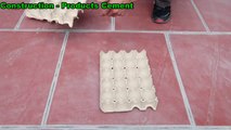 Amazing Ideas From Cement And Egg Tray - Simple Way To Have Beautiful And Unique_HD