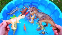 Dinosaurs for kids, Dinosaurs Find Baby Mom, Jurassic World Dinosaur Toys Kids