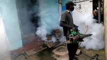 Sri Lanka dengue: Authorities tackle spike in cases