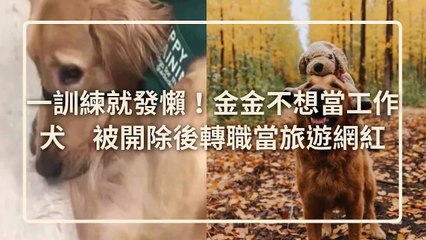 petmao_curation-petsmao.nownews|petmao_curation_mobile-copy3-20200311-16:45