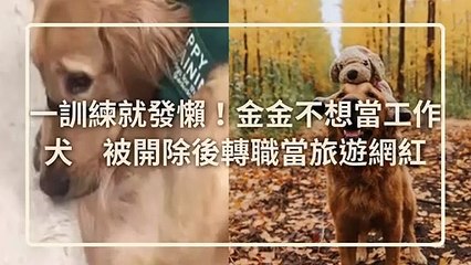 petmao_curation-petsmao.nownews|petmao_curation_mobile-copy4-20200311-16:45