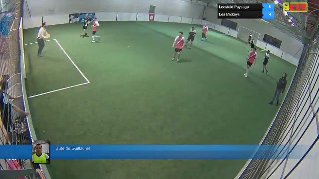 Faute de Guillaume - Loosfeld Paysage Vs Les Mickeys - 10/03/20 19:00 - LIGUE 4 - Poitiers Game Parc