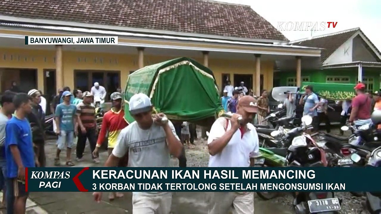 Makan Ikan Buntal, 3 Orang Tewas Keracunan