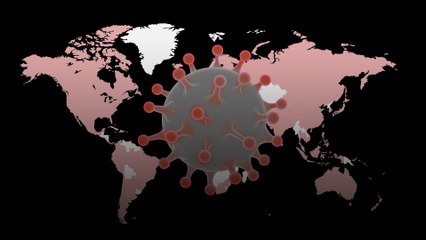 Coronavirus: From mysterious origins to a global threat