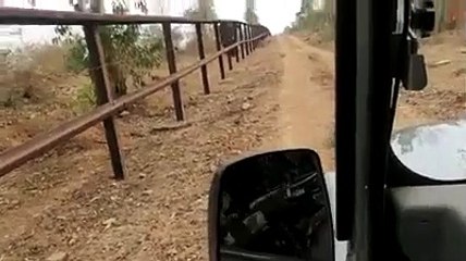 Animal Cruelty Has To Be Stopped At Every Cause | Oneindia Malayalam