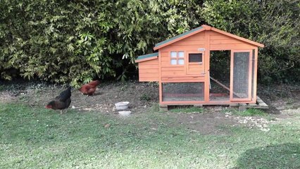 Ille-et-Vilaine : Langouët, village pionnier de l'écologie