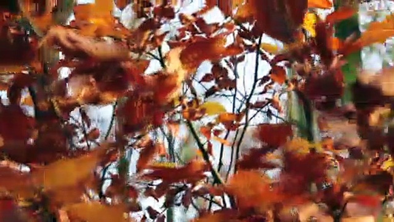 Spirit Sound Pinneberg 2013 Folge 19 /Full Film/Complete Movie/Ganzer Film