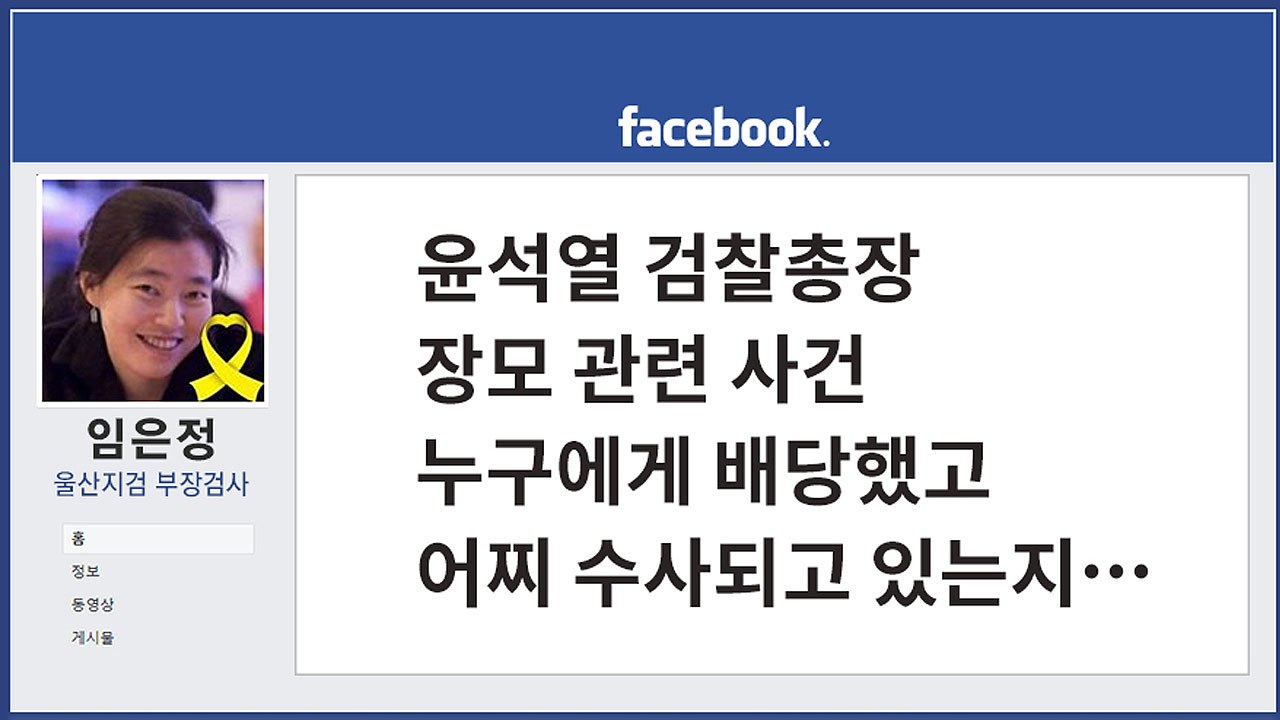 [앵커리포트] 임은정 검사 “윤석열 총장 장모 의혹, 수사 기대할 수 없어” / YTN