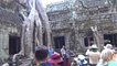 Ta Prohm @ Angkor Wat (Tomb Raiders movie), ThaiCambodia 35, Siem Reap, 14 Jan2020