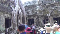 Ta Prohm @ Angkor Wat (Tomb Raiders movie), ThaiCambodia 35, Siem Reap, 14 Jan2020