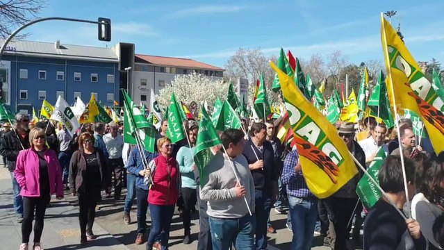 Mil tractores toman Valladolid en protesta por la situación del campo