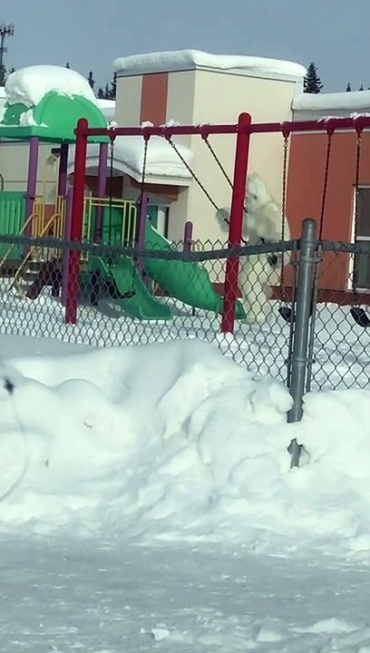 Abominable Snowman Seen on Playground Swing