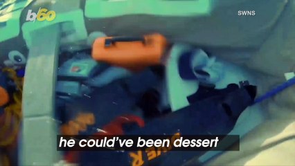 Spear Fisherman Has a Tug-of-War with Three Sharks Over Tuna