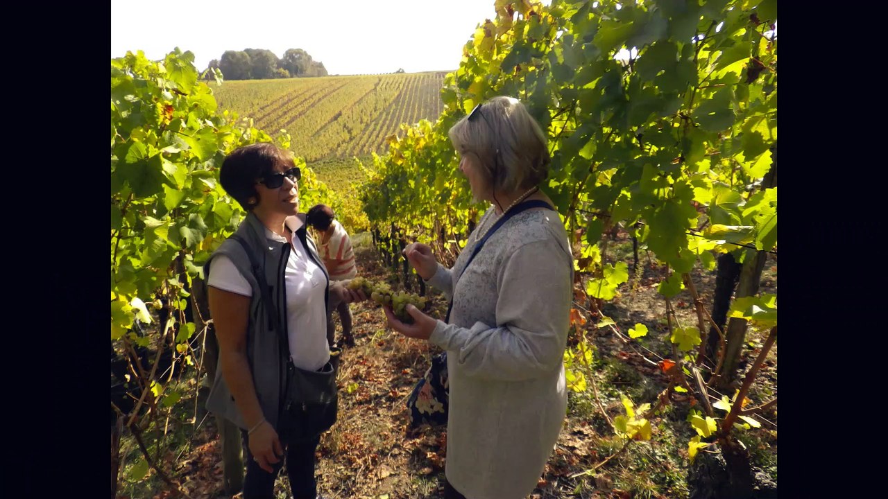 Partages avec nos visiteurs / Sharing with our Guests