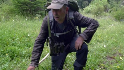 El valle de los lobos - Trailer subtitulado