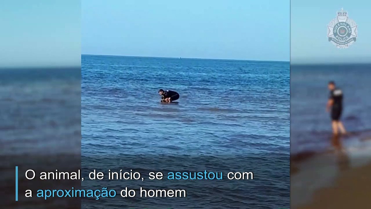 Um resgate animal