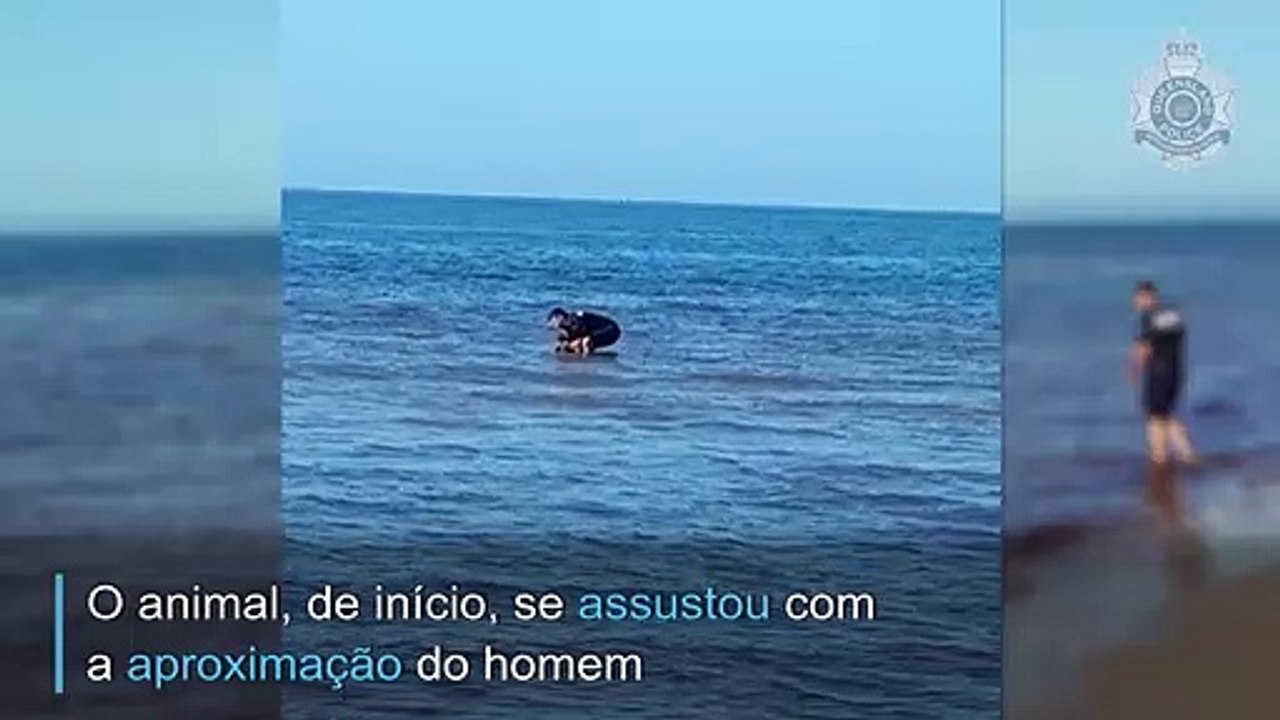 Um resgate animal