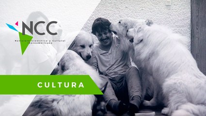 Una mirada a la intimidad de los escritores iberoamericanos más relevantes del S. XXI