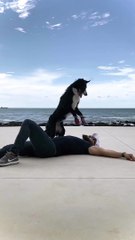 Rescue Border Collie Practices Her CPR