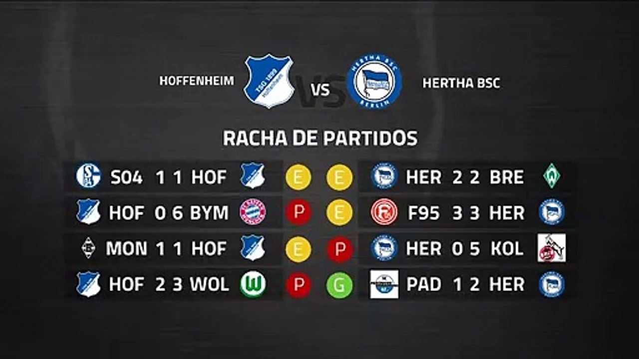 Previa partido entre Hoffenheim y Hertha BSC Jornada 26 Bundesliga
