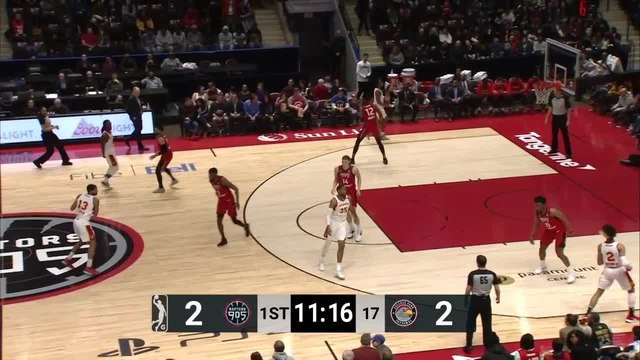 Stanley Johnson (18 points) Highlights vs. College Park Skyhawks