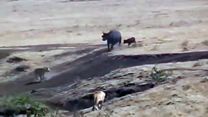 김해출장서비스 김해출장서비스O1Og2154g6609｛카톡LOT45｝ 김해출장마사지샵 김해출장안마on김해출장안마cos여3♪⇔∃마사지황형♥⊎≪