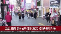 코로나19에 한국 소비심리 OECD 국가중 최대 낙폭