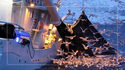 petmao_curation-petsmao.nownews|petmao_curation_mobile-copy4-20200312-09:30